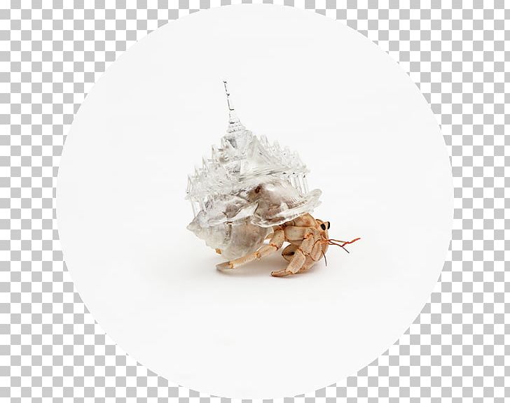 Hermit Crab Art Seashell PNG, Clipart, 3d Printing, Architecture, Art, Artist, Building Free PNG Download
