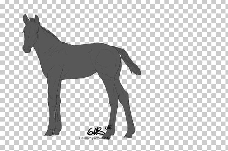 Mule Foal Stallion Mustang Boulonnais Horse PNG, Clipart, Animal, Black And White, Boulonnais Horse, Colt, Donkey Free PNG Download