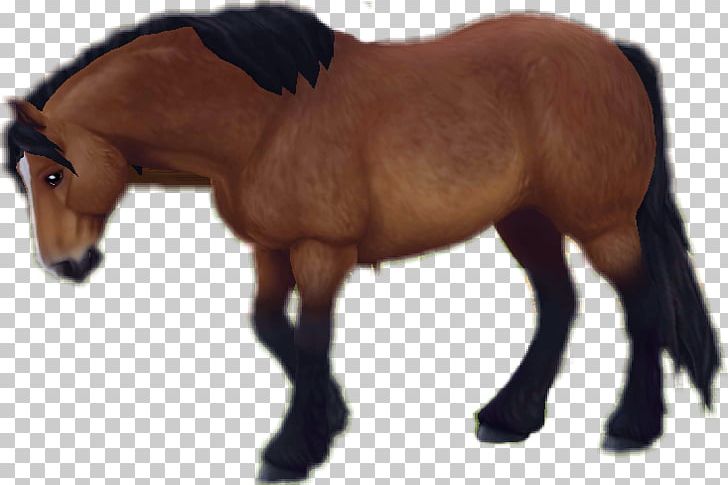 Star Stable Mare Stallion Pony Foal PNG, Clipart, Animal Figure, Bit, Bridle, Colt, Foal Free PNG Download