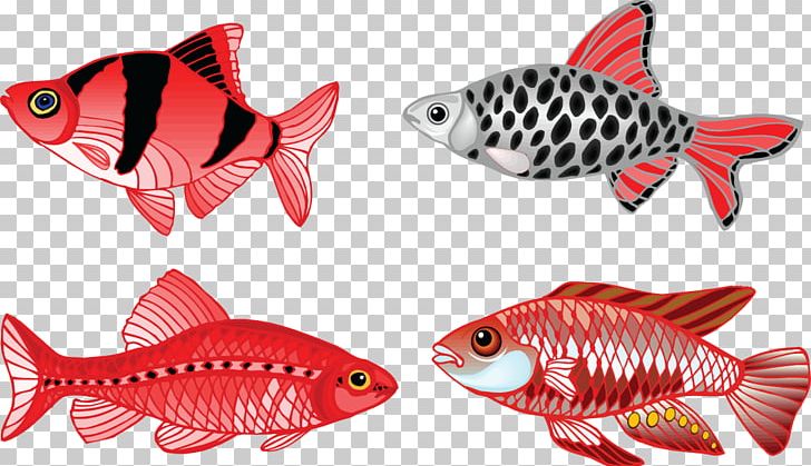 Veiltail Fish Fin Aquarium Fish Fin PNG, Clipart, Animal, Animal Figure, Animals, Aquarium, Coral Reef Fish Free PNG Download