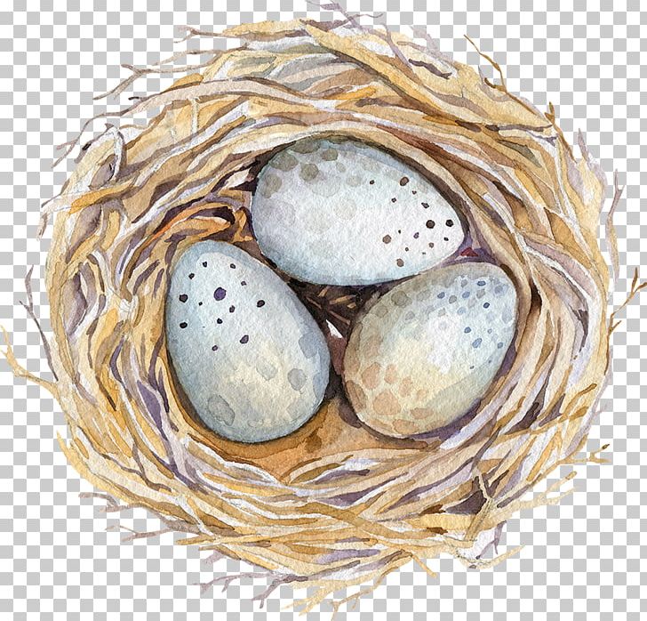 Watercolor Painting Drawing Stock Photography Illustration PNG, Clipart, Animals, Bird Nest, Bird Nest Vector, Birds Nest, Birds Nest Packaging Free PNG Download