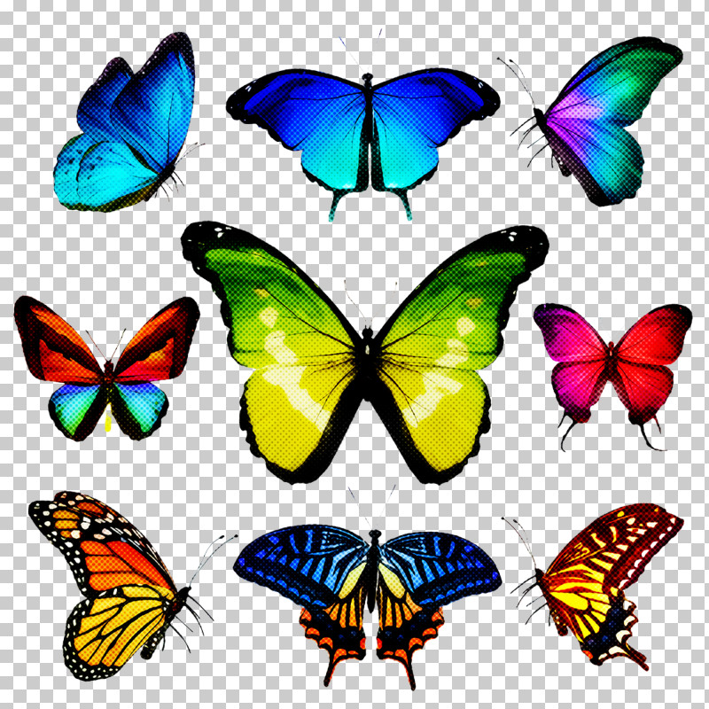 Butterfly Moths And Butterflies Insect Pollinator Brush-footed Butterfly PNG, Clipart, Animal Figure, Brushfooted Butterfly, Butterfly, Insect, Lycaenid Free PNG Download