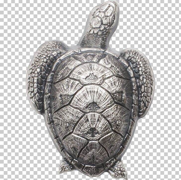 Silver Coin Gold Sea Turtle Hatchlings PNG, Clipart, African Helmeted Turtle, Coin, Fineness, Gold, Gold Coin Free PNG Download