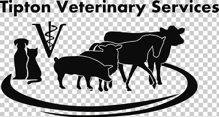 Tipton Veterinary Services Veterinarian Dairy Cattle Veterinary Medicine PNG, Clipart, Animals, Appointment, Black, Brand, Cattle Like Mammal Free PNG Download