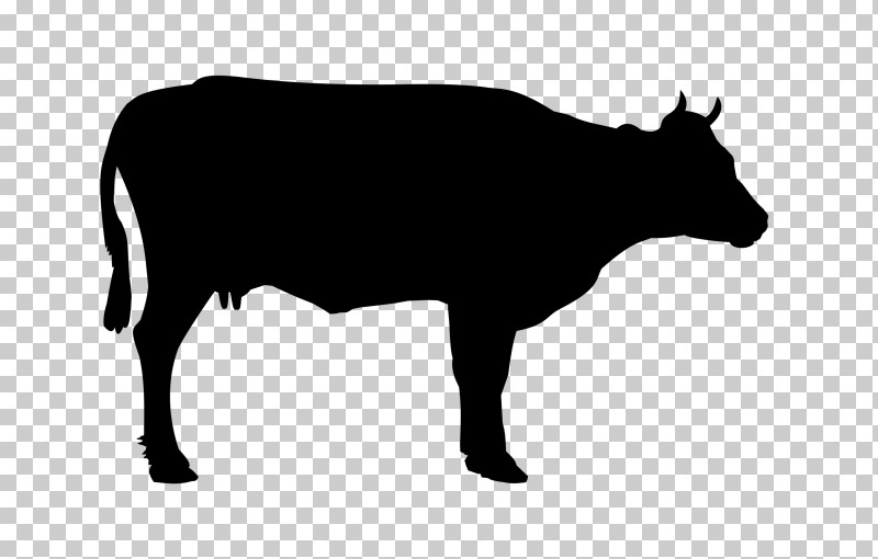 Bovine Cow-goat Family Bull Snout Livestock PNG, Clipart, Bovine, Bull, Cowgoat Family, Dairy Cow, Livestock Free PNG Download