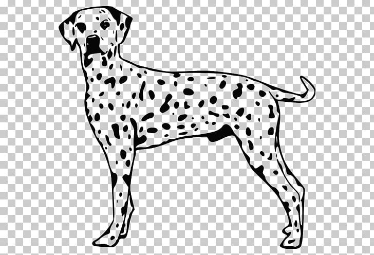 Dalmatian Dog English Cocker Spaniel Puppy Dog Breed PNG, Clipart, Animal, Animal Figure, Animals, Black And White, Breed Free PNG Download