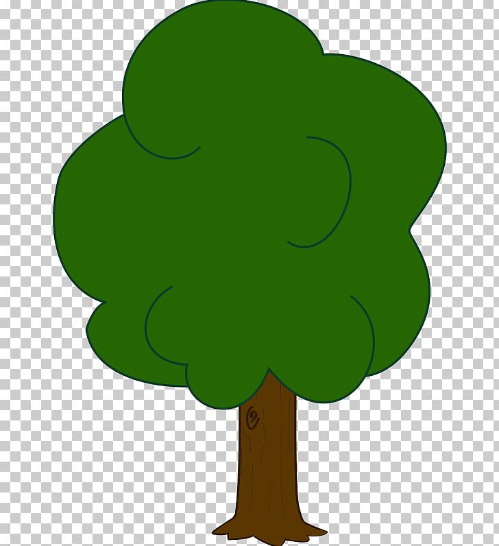 Oak Tree PNG, Clipart, Cartoon, Drawing, Flower, Flowering Plant, Forest Free PNG Download