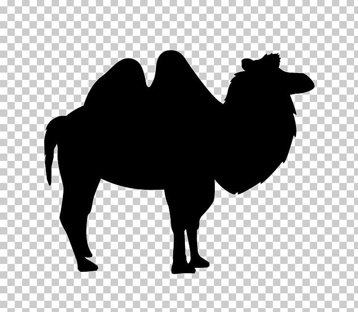 Animal Silhouettes Art PNG, Clipart, Animal Illustration, Animal Silhouettes, Arabian Camel, Art, Beef Cattle Free PNG Download