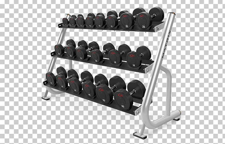Dumbbell Barbell Physical Fitness Weight Training Strength Training PNG, Clipart, Barbell, Bench, Dumbbell, Exercise Equipment, Fitness Centre Free PNG Download