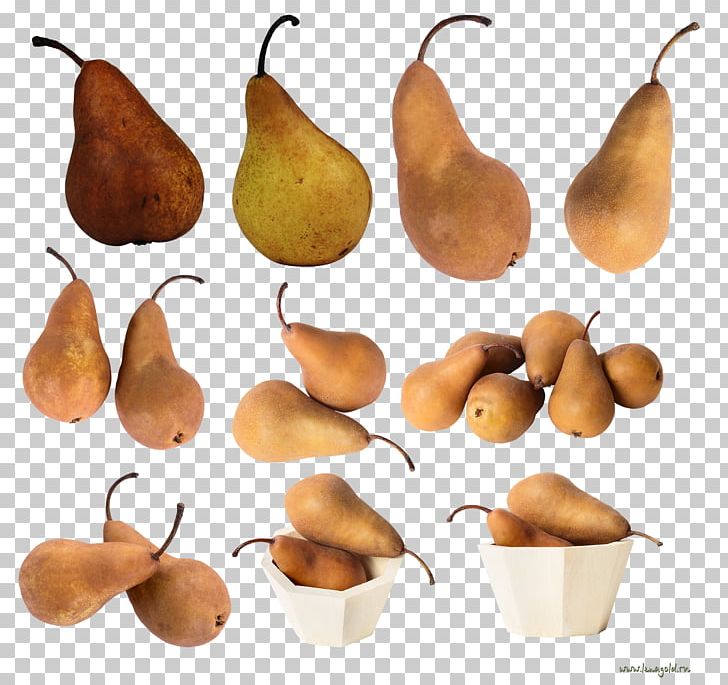 Pear Food Fruit PNG, Clipart, Amygdaloideae, Food, Fruit, Fruit Nut, Image File Formats Free PNG Download