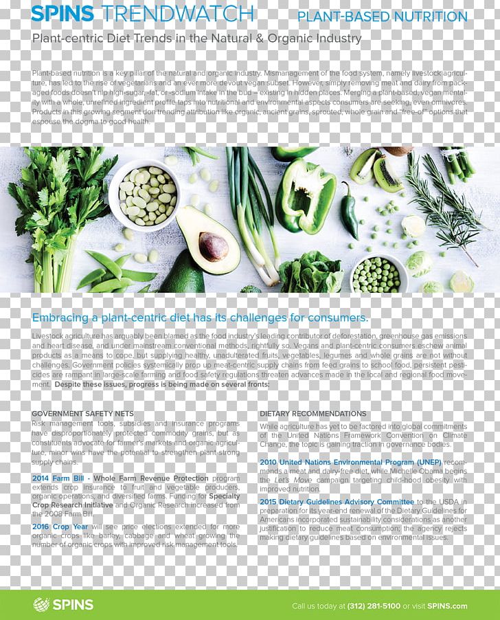 Raw Foodism Smoothie Health Shake Diet PNG, Clipart, Advertising, Brochure, Cabbage Soup Diet, Detoxification, Diet Free PNG Download