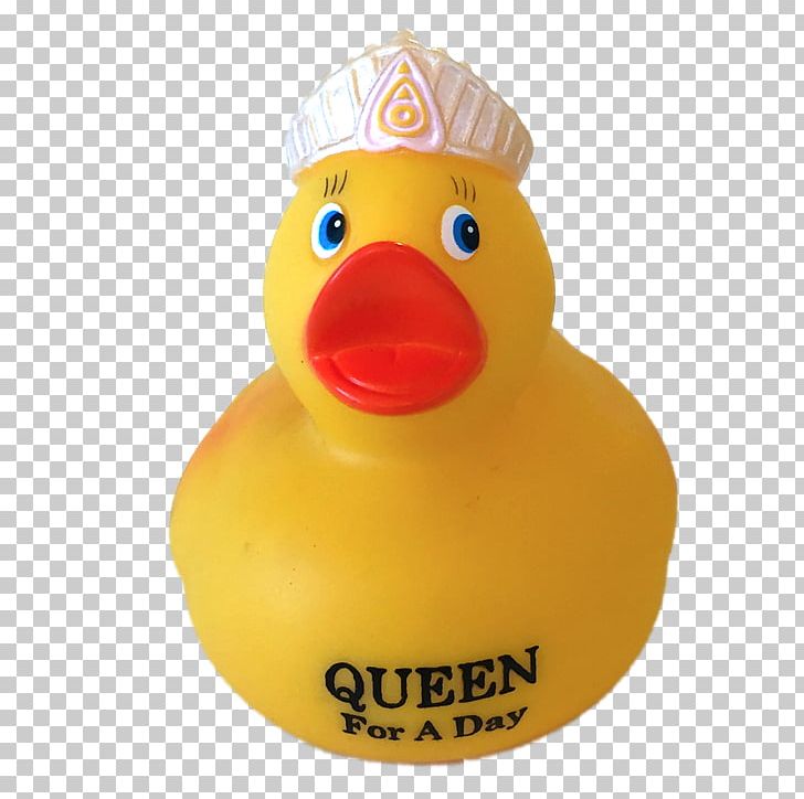Rubber Duck Natural Rubber Yellow Imprinting PNG, Clipart, Animals, Beak, Bird, British Royal Family, Competition Free PNG Download