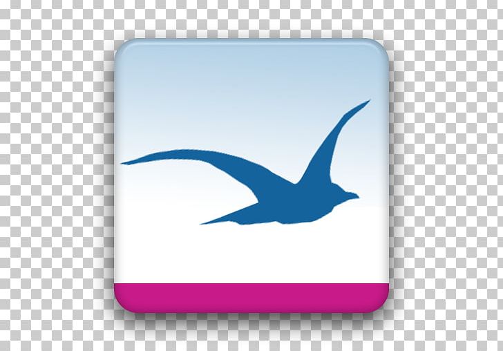 Beak Technology Marine Mammal Font PNG, Clipart, Android, App, Beak, Bird, Blue Free PNG Download