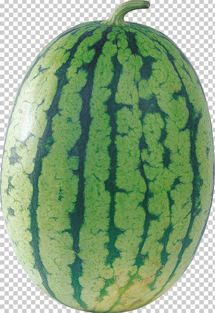 Cantaloupe Watermelon Citrullus Lanatus PNG, Clipart, Auglis, Cantaloupe, Citrullus, Citrullus Lanatus, Cucumber Gourd And Melon Family Free PNG Download