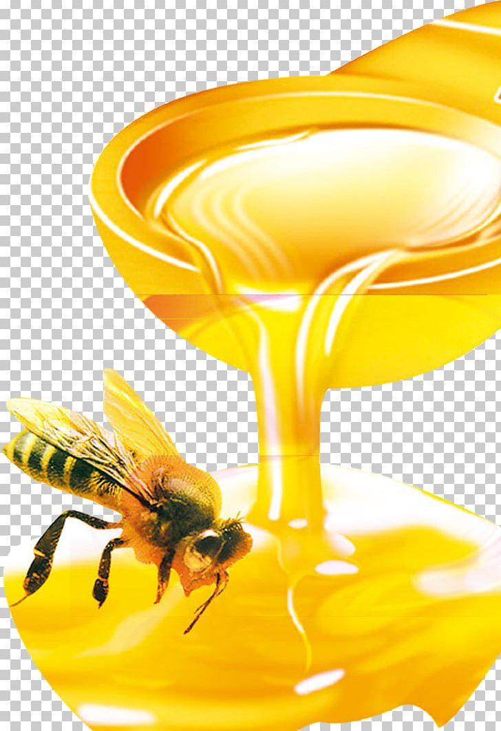 Honey Bee Organic Food Honey Bee Beehive PNG, Clipart, Bee, Bee Hive, Bee Pollen, Bee Removal, Bees Free PNG Download