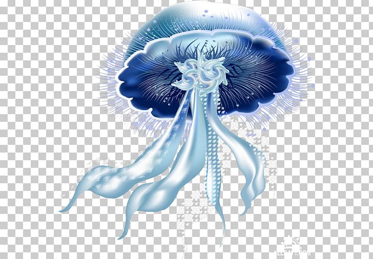 Jellyfish Sea Marine Biology PNG, Clipart, Biological Classification, Cartoon, Deep Sea, Desktop Wallpaper, Electric Blue Free PNG Download