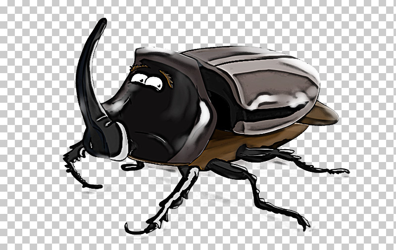 Insect Japanese Rhinoceros Beetle Rhinoceros Beetle Beetle Scarabs PNG, Clipart, Beetle, Dung Beetle, Insect, Japanese Rhinoceros Beetle, Rhinoceros Beetle Free PNG Download