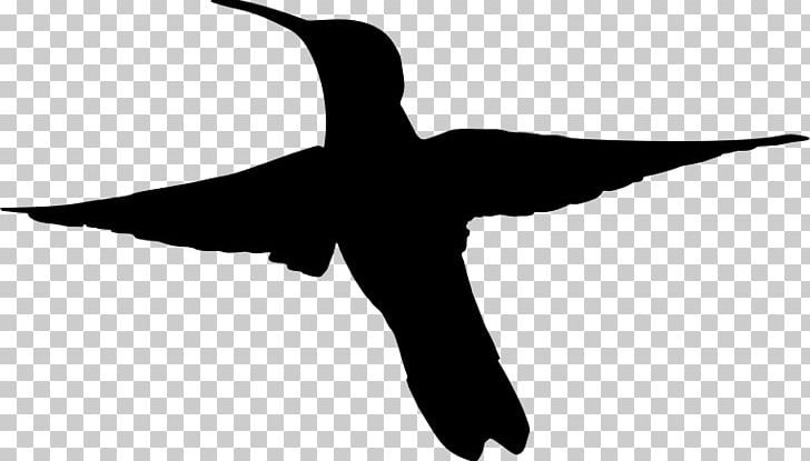 Duck Hummingbird Silhouette PNG, Clipart, Animal, Beak, Bird, Black And White, Desktop Wallpaper Free PNG Download