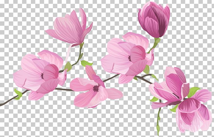 Floral Design Cut Flowers Sweet Pea PNG, Clipart, Blossom, Branch, Clip Art, Cut Flowers, Cyclamen Free PNG Download