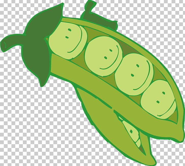 Fruit Pea Cartoon Bean PNG, Clipart, Amphibian, Bean, Beans, Butterfly Pea, Butterfly Pea Flower Free PNG Download