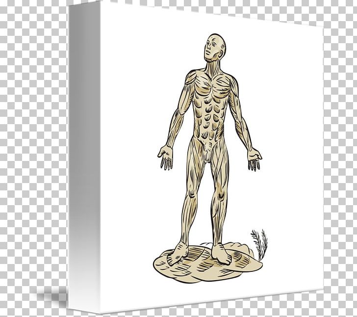 Shoulder Homo Sapiens Skeleton Muscle Arm PNG, Clipart, Animated Cartoon, Arm, Fantasy, Figurine, Homo Sapiens Free PNG Download