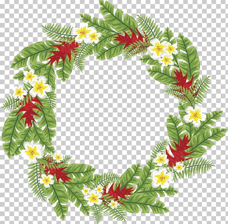 Arecaceae Leaf Tree Computer File PNG, Clipart, Christmas Decoration, Christmas Ornament, Christmas Tree, Christmas Wreath, Decor Free PNG Download