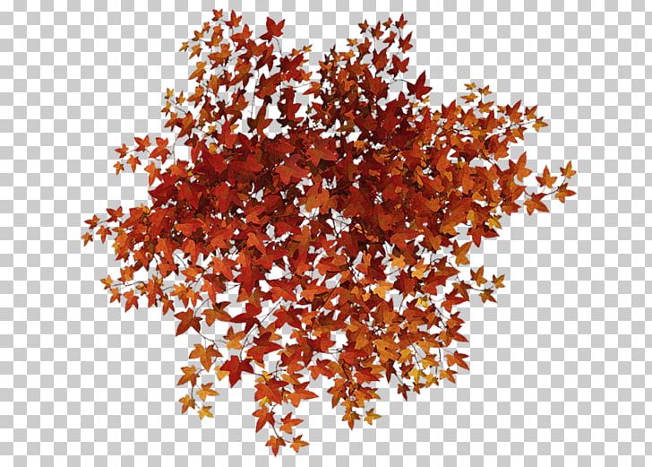 Autumn Woman PNG, Clipart, Autumn, Blog, Branch, Collage, Internet Forum Free PNG Download