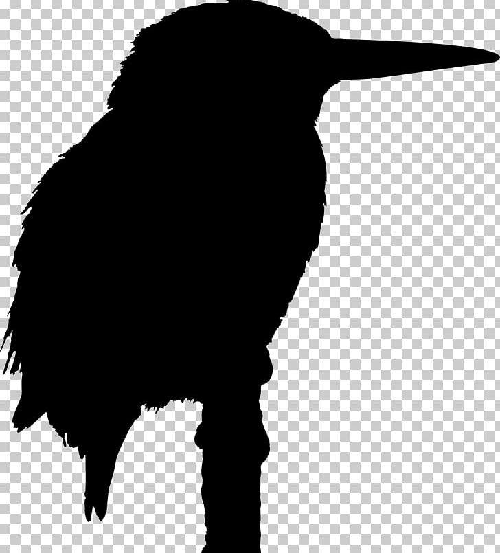 Belted Kingfisher Silhouette Azure Kingfisher PNG, Clipart, Animals, Azure Kingfisher, Beak, Belted Kingfisher, Bird Free PNG Download