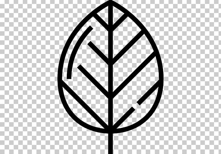 Drawing Leaf PNG, Clipart, Angle, Area, Black And White, Circle, Computer Icons Free PNG Download