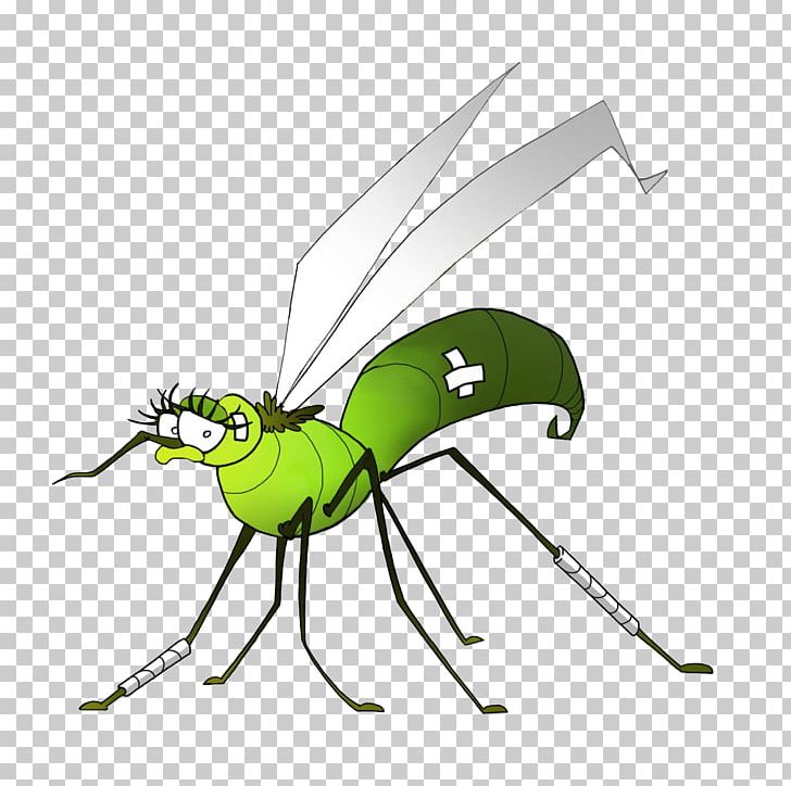 Insect Mosquito Dengue West Nile Fever West Nile Virus PNG, Clipart, Arthropod, Beetle, Beneficial Insects, Dengue, Disease Free PNG Download