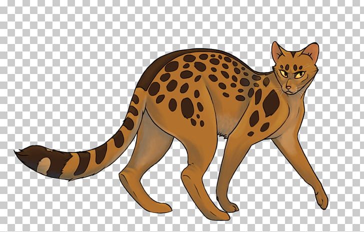 Warriors Leopardstar Whiskers Erin Hunter PNG, Clipart, Animals, Big Cats, Carnivoran, Cat, Cat Like Mammal Free PNG Download