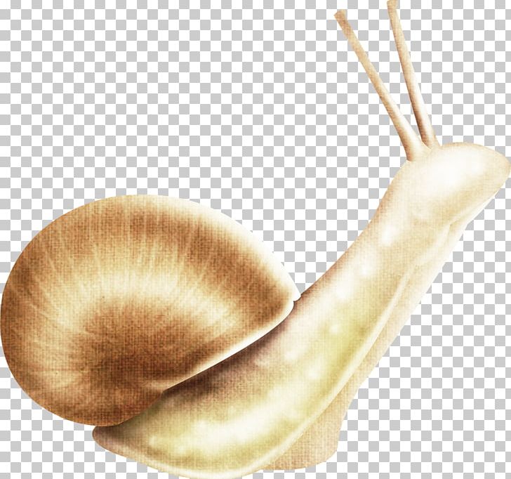 Snail Slime Escargot Icon PNG, Clipart, Animals, Cartoon, Cartoon Snail, Computer Icons, Creative Free PNG Download