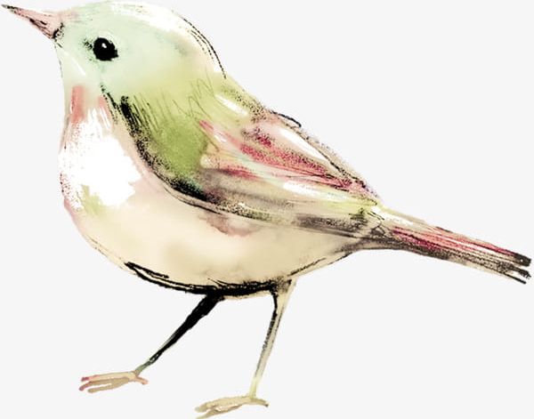 Watercolor Birds PNG, Clipart, Birdie, Birds Clipart, Cartoon, Hand, Hand Painted Free PNG Download