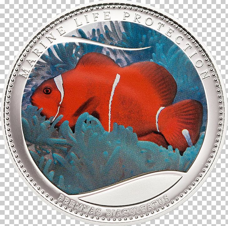 Coin Palau Silver Clownfish Metal PNG, Clipart, Advers, Cit Coin Invest Ag, Clownfish, Cobalt Blue, Coin Free PNG Download