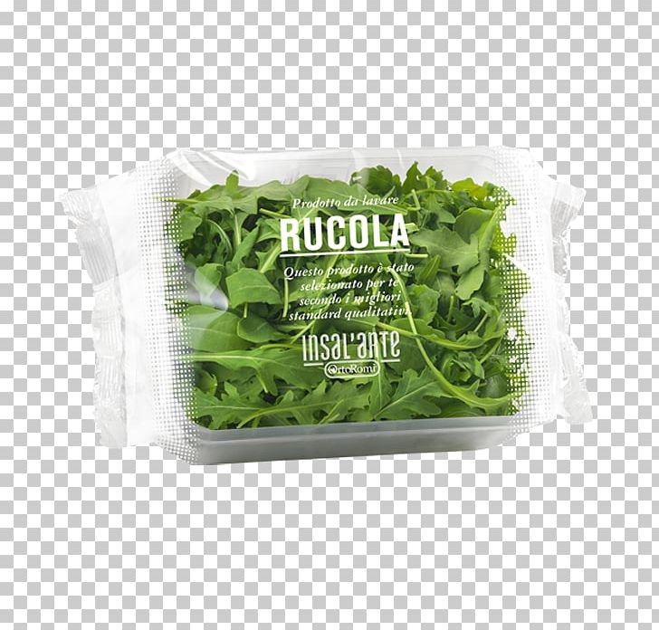 Lettuce Arugula Carpaccio Salad Vegetable PNG, Clipart, Arugula, Carpaccio, Cheese, Condiment, Dish Free PNG Download