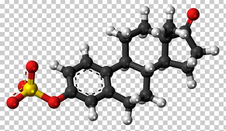 Progesterone Steroid Hormone Progestogen Dehydroepiandrosterone Nandrolone PNG, Clipart, Anabolic Steroid, Body Jewelry, Dehydroepiandrosterone, Estrogen, Hormone Free PNG Download