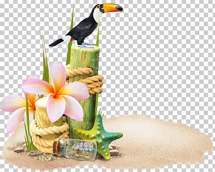 Sea Beach PNG, Clipart, Animals, Beach, Bird, Computer Icons, Encapsulated Postscript Free PNG Download