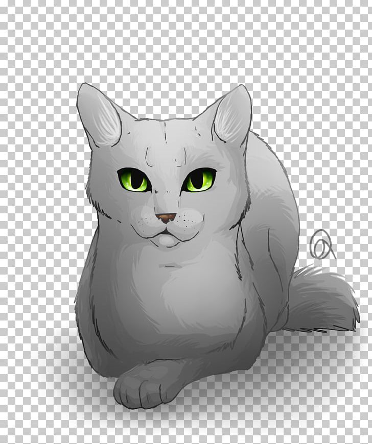 Whiskers Warriors Korat Kitten Into The Wild PNG, Clipart,  Free PNG Download