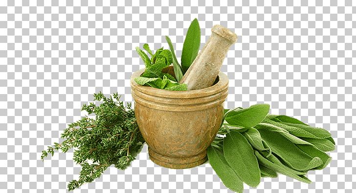 Herb Fed Poultry Eating Food Indian Cuisine PNG, Clipart, Appetite, Common Sage, Culinary Arts, Flavor, Flowerpot Free PNG Download