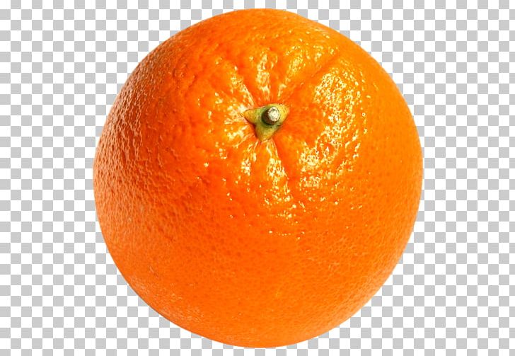 Orange Juice Tangerine Tangelo Grapefruit PNG, Clipart, Bitter Orange, Citric Acid, Citrus, Clementine, Diet Food Free PNG Download
