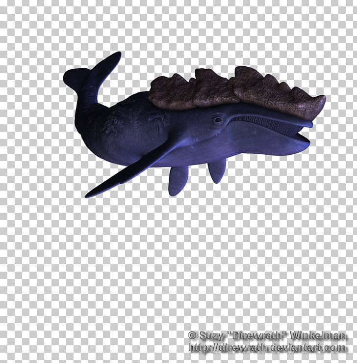 Sea Lion Marine Mammal Whale Dolphin PNG, Clipart, Animals, April 19, Dolphin, Fish, Leviathan Free PNG Download