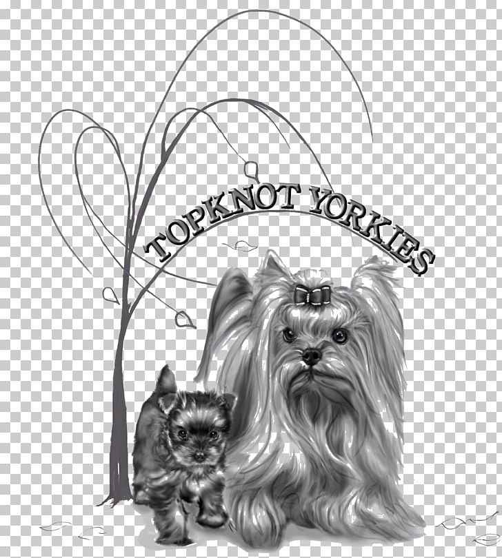 Yorkshire Terrier Skye Terrier Dog Breed Toy Dog PNG, Clipart, Breed, Breed Standard, Carnivoran, Dog Breed, Dog Like Mammal Free PNG Download