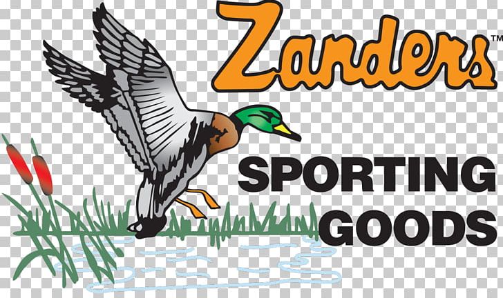 Zanders Sporting Goods Zanders Sporting Goods Firearm Business PNG, Clipart, Advertising, Beak, Bird, Business, Duck Free PNG Download