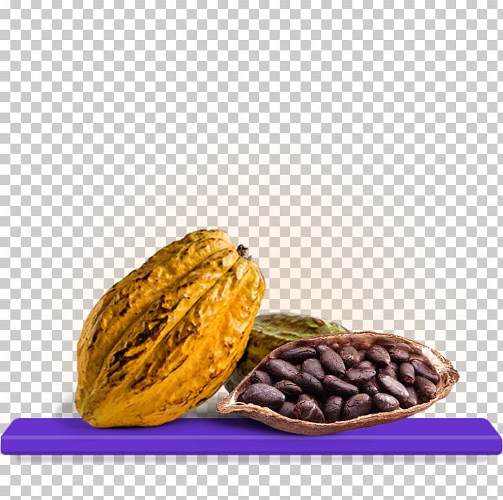 Cocoa Bean Vegetarian Cuisine Chocolate Theobroma Cacao PNG, Clipart, Bean, Cadbury, Chocolate, Cocoa Bean, Cocoapods Free PNG Download