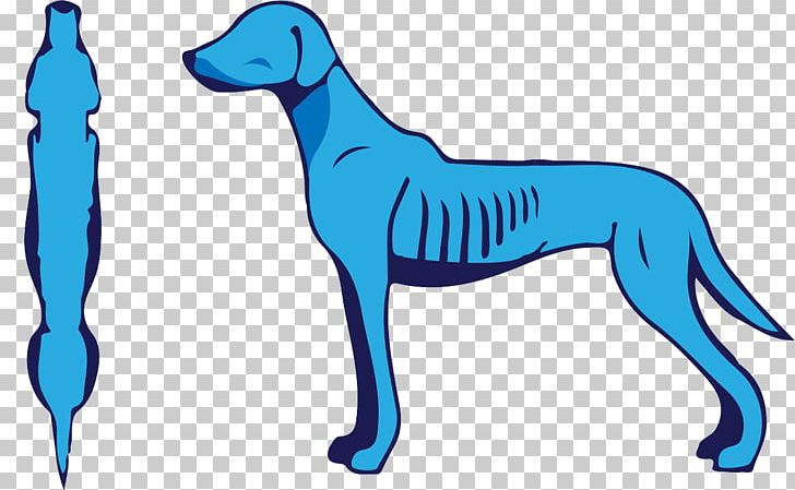 Dog Breed Italian Greyhound Nutrition Pet PNG, Clipart, Breed, Carnivoran, Diet, Dog, Dog Breed Free PNG Download