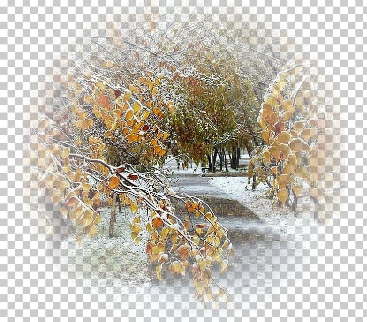 Golden Autumn Child Winter Rain PNG, Clipart, Autumn, Branch, Child, Cloud, Daytime Free PNG Download