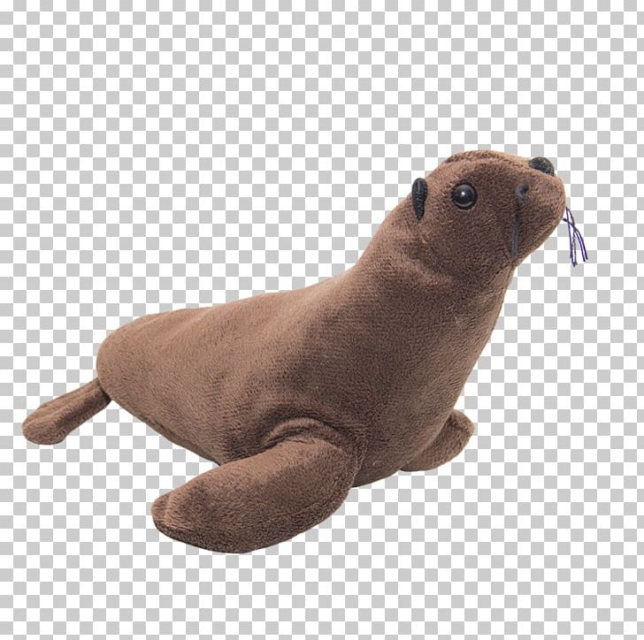 Sea Lion Harbor Seal Pinniped Terrestrial Animal PNG, Clipart, Animal, Animal Figure, Animals, Fauna, Harbor Seal Free PNG Download