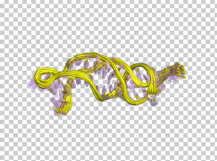 Telomerase RNA Component Non-coding RNA Telomere PNG, Clipart, Enzyme, Eukaryote, European Bioinformatics Institute, Fluorescence In Situ Hybridization, Noncoding Rna Free PNG Download