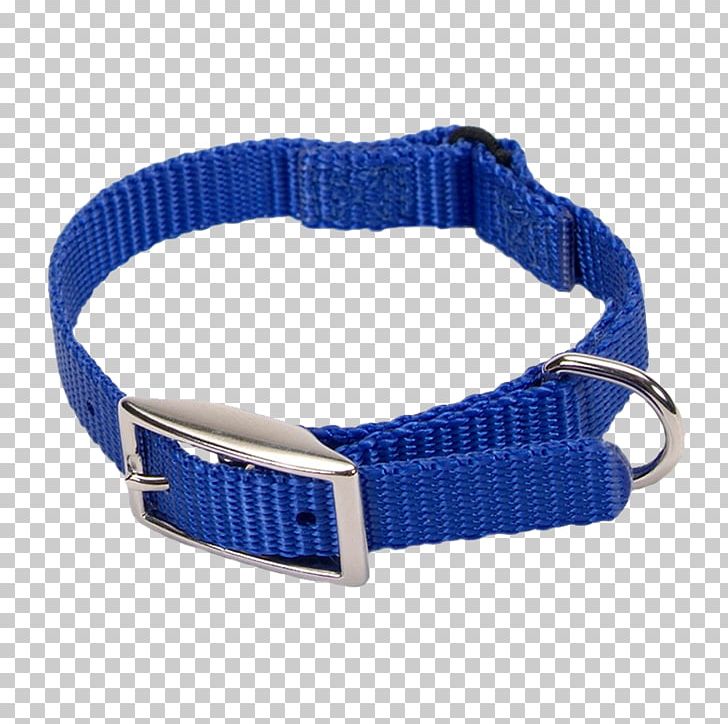 Dog Collar Cat Leash PNG, Clipart, Animals, Blue, Cat, Cobalt Blue, Collar Free PNG Download