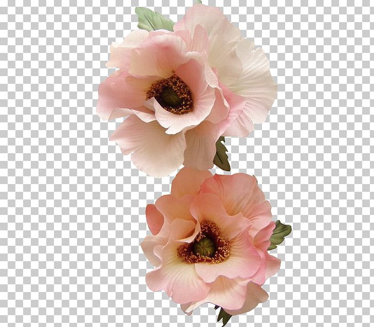 Cabbage Rose Flower Poppy Petal PNG, Clipart, Anemone, Blossom, Bud, Common Poppy, Cut Flowers Free PNG Download